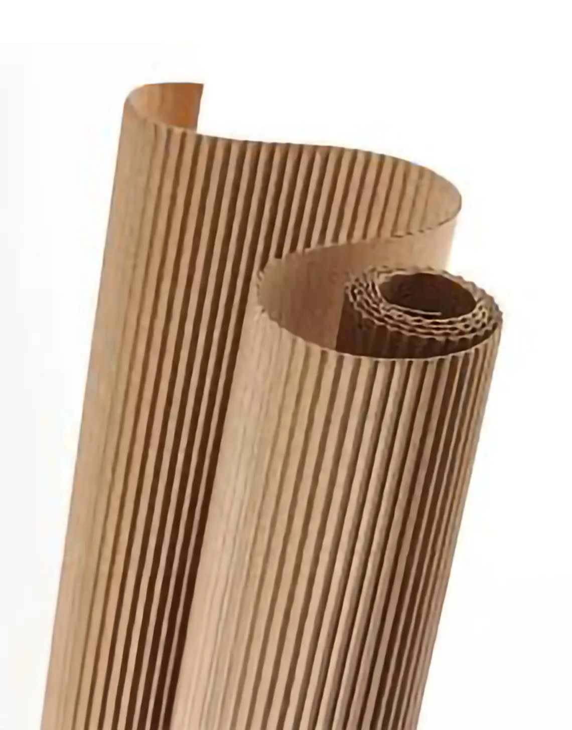 carton3
